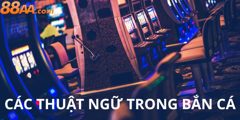 Các thuật ngữ trong bắn cá